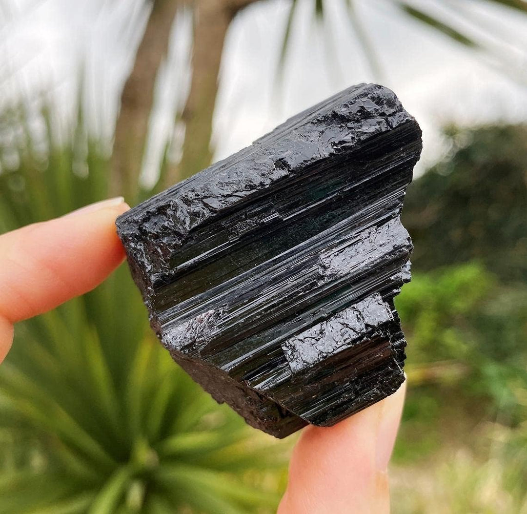 Natural Black Tourmaline Crystals